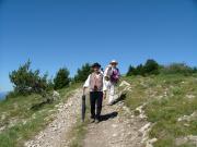 Ouvrir l'image : Cairn 2000 - Montagne de Lure - 0002.jpg